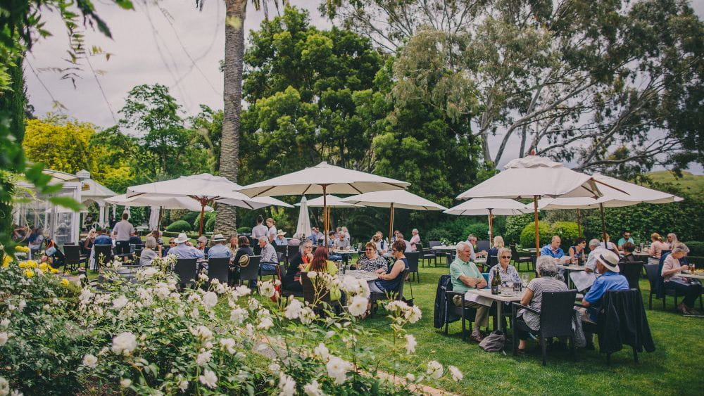 People dining outside in Hawke's Bay.