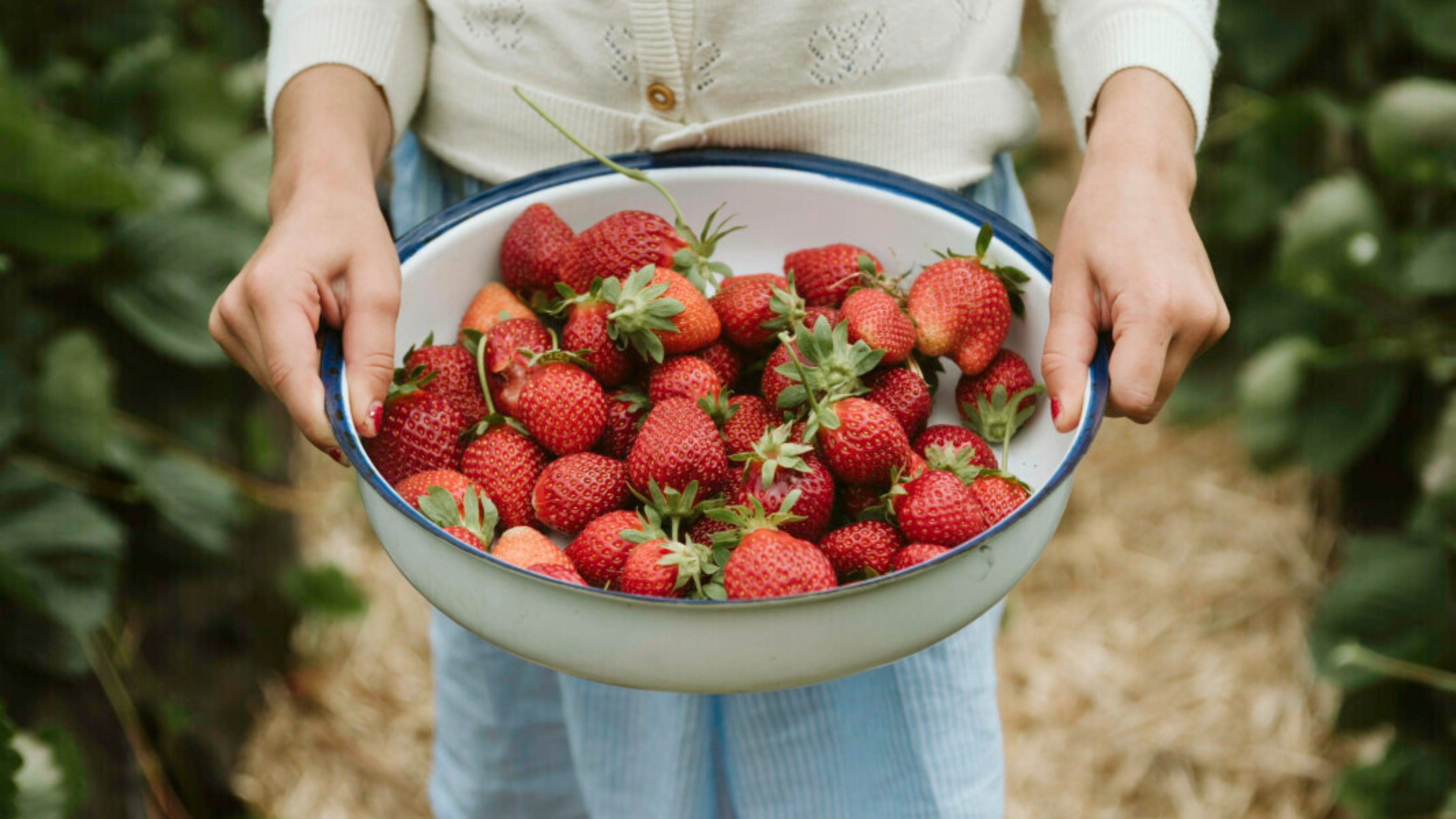 Girl holding bowl of freshly picked strawberries.